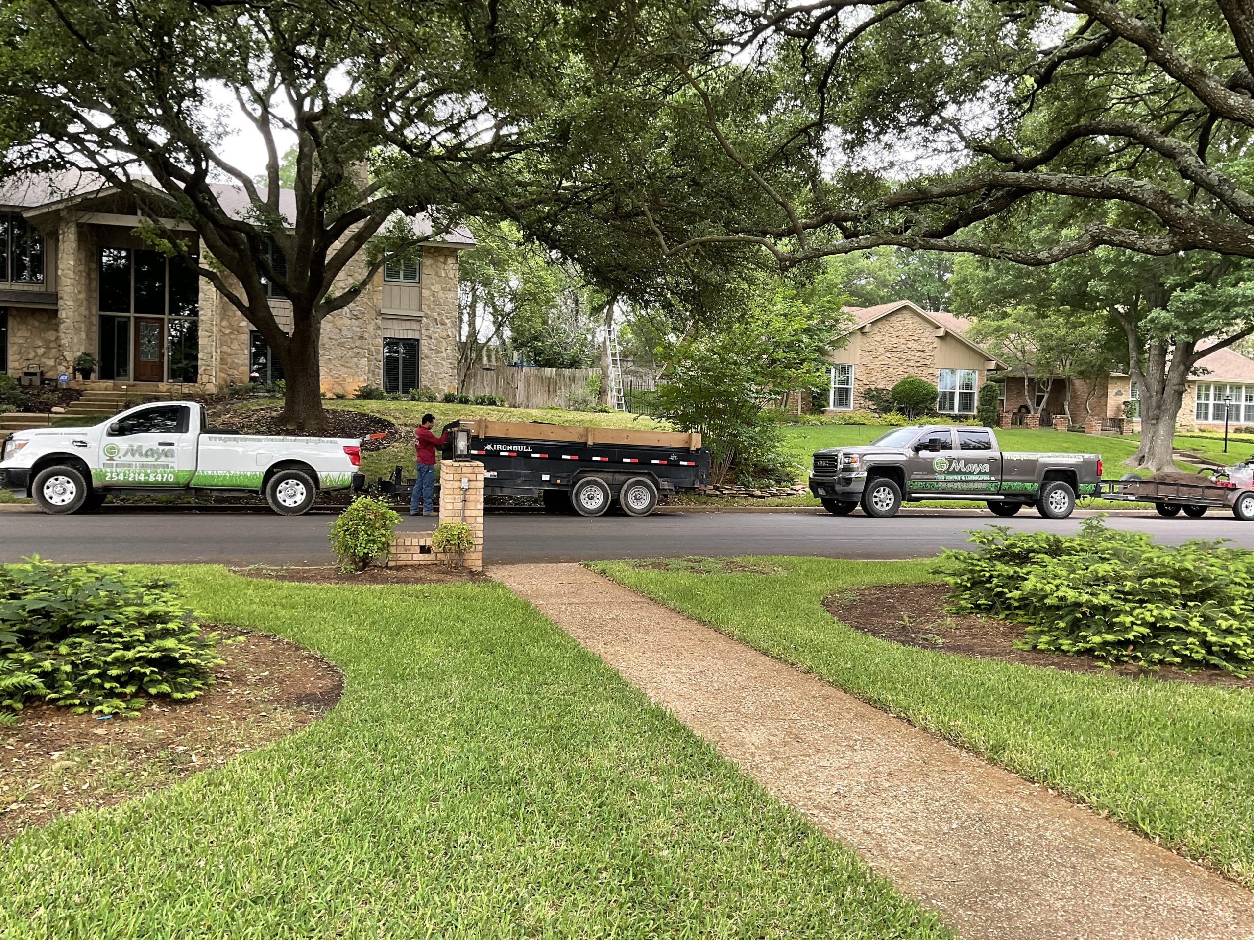 G Maya Tree Service & Landscaping