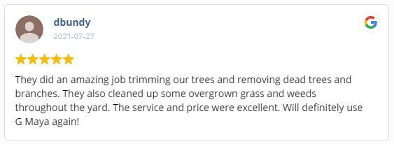 G Maya Tree Service & Landscaping